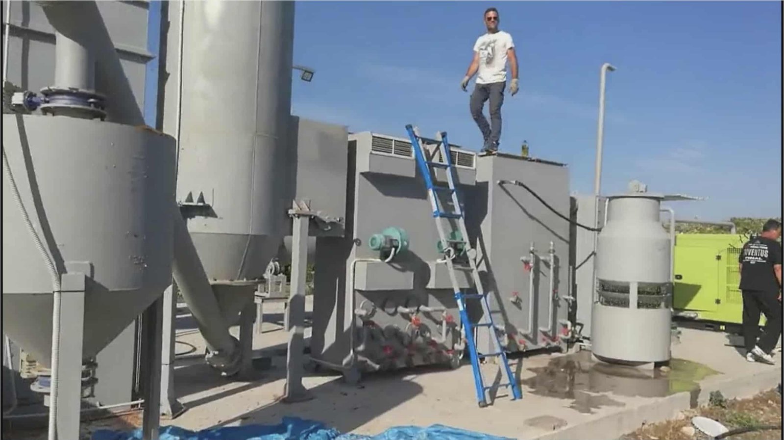 Olive grove in Italy with biochar application