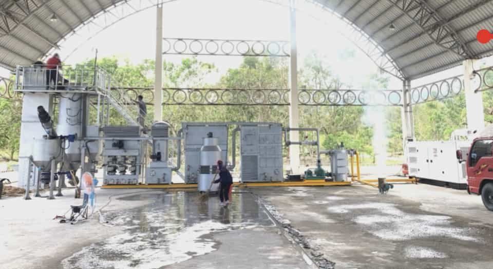 Olive grove in Italy with biochar application