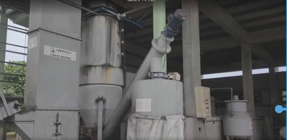 Olive grove in Italy with biochar application